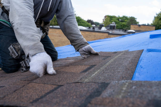 Best Commercial Roofing Services  in Hunter, TN