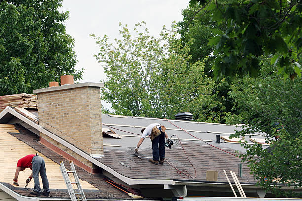 Best Flat Roof Repair Services  in Hunter, TN
