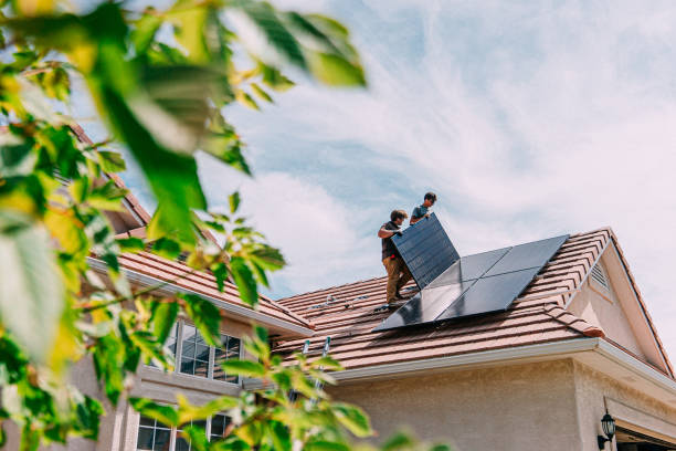 Best Roof Gutter Cleaning  in Hunter, TN