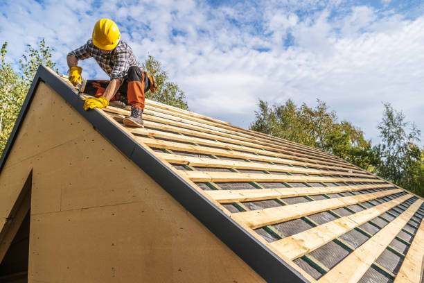 Best Gutter Installation and Roofing  in Hunter, TN
