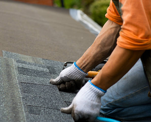 Best Roof Restoration Services  in Hunter, TN