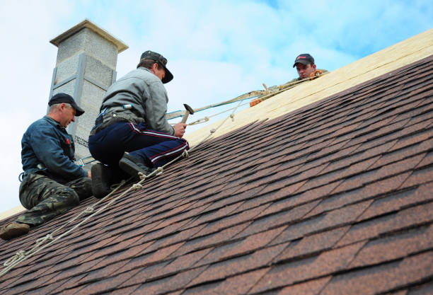 Best Local Roofing Companies  in Hunter, TN