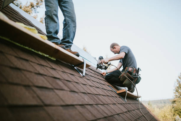 Best Roof Leak Repair  in Hunter, TN