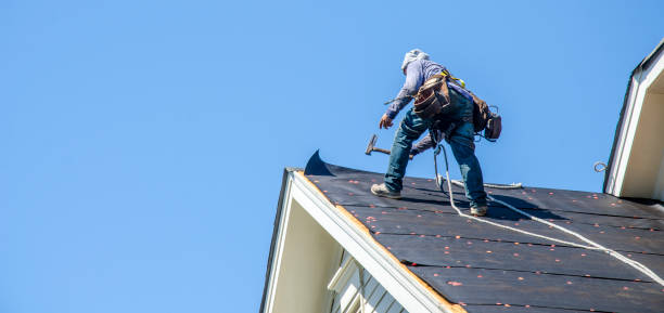 Best Best Roofing Contractors  in Hunter, TN